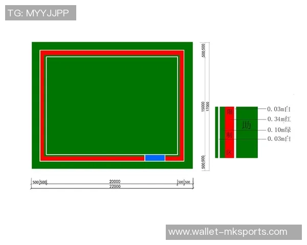 小型足球场尺寸标准及其对比赛和训练的影响分析 小型足球场尺寸标准及其对比赛和训练的影响分析